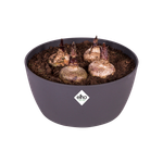 brussels schale 23cm anthrazit